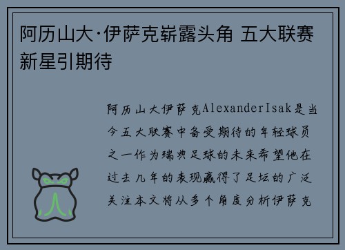 阿历山大·伊萨克崭露头角 五大联赛新星引期待